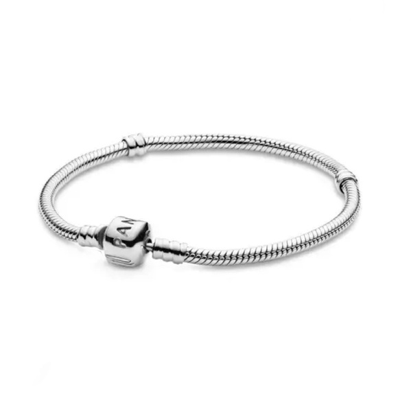 Sterling Silver Pandora Charm Bracelet W/ Princess Charm👑 - Picture 1 of 12